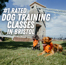 Load image into Gallery viewer, Bristol Good Dog Classes