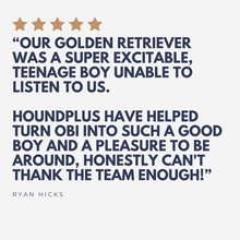 Load image into Gallery viewer, Bristol Good Dog Classes