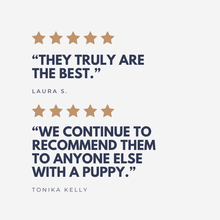 Load image into Gallery viewer, Puppy Classes in Bristol