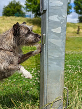 Load image into Gallery viewer, Terrier mix sniffing magnetic scent tin