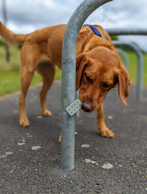 Load image into Gallery viewer, Labrador sniffing magnetic scent tin
