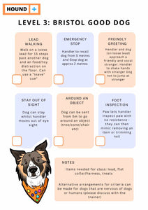 Level three bristol good dog class criteria