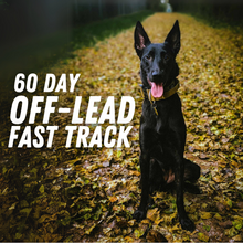 Load image into Gallery viewer, 60-Day Off-Lead Fast Track
