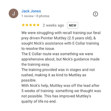 Load image into Gallery viewer, Off-Leash Freedom Course
