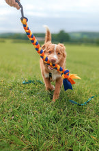 Load image into Gallery viewer, Retriever carrying fleece tug toy
