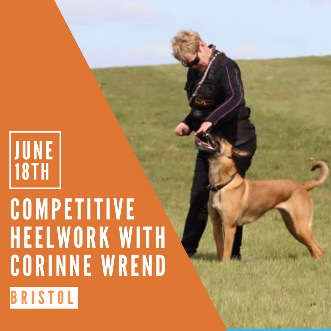 Competitive Heelwork with Corinne Wrend