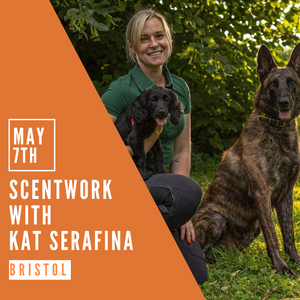 Scentwork with Kat Serafina