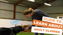 Load and play video in Gallery viewer, Adult Dog Classes in Bristol
